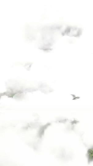 천하제일 제1회