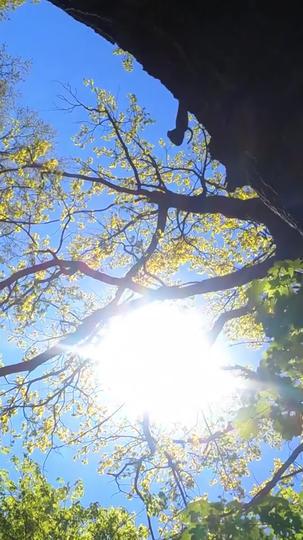 Midlife Sparks with a Billionaire Taxi Driver Episode 8