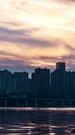 剧集数 29