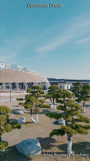 Lies Dressed in Luxury Episode 1