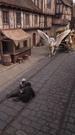 Dragon’s Lost Sister  Episode 5