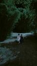 Episodes 52