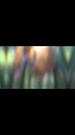 Episodes 46