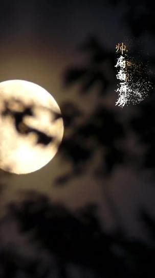 狂暴少帅 第7集