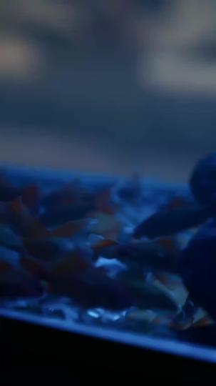 Shards of Our Love Episode 1