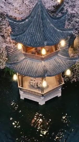 Princess in Disguise: The Healer Who Saved a Dynasty Episode 2