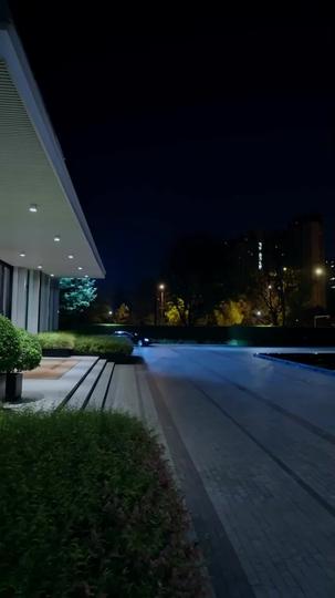 불사조 그녀(더빙) 제10회