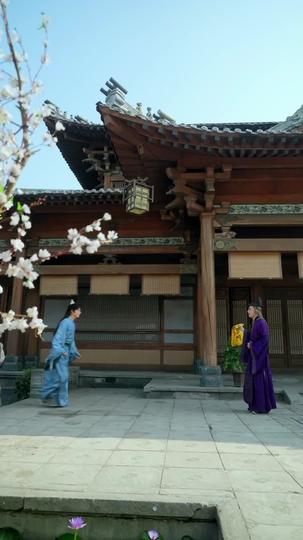 حامي المملكة 8مجموعة