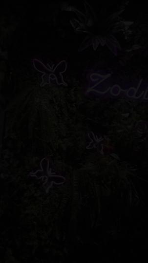 The Escort Episode 1