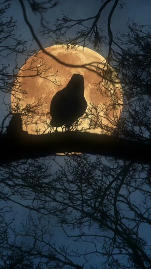 Le Baiser de l'Amour Véritable Épisode10