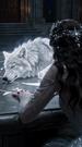 I Sacrifice My Wolf for My Husband's Wish Willow Lie 1مجموعة