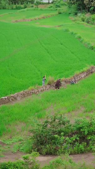 เซียนกระบี่	 ที่1ตอน