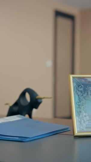 重生1995：系統逼我給員工加薪 第1集