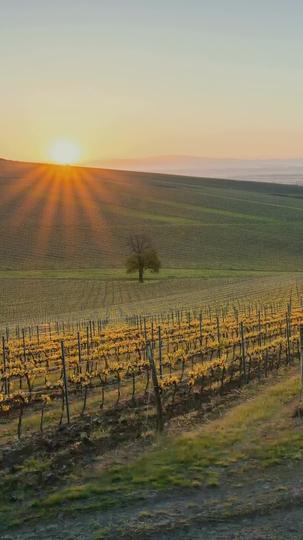 How to Sleep with Your Professor 101 Episode 4