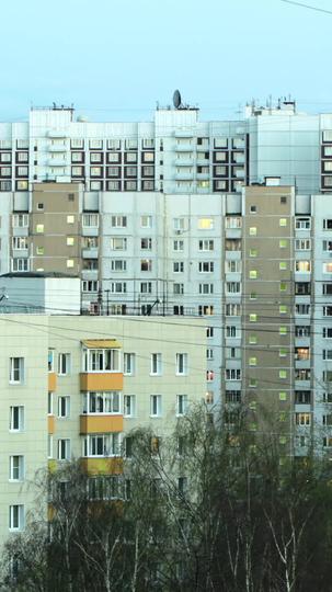 I Leashed A CEO! Episode 2