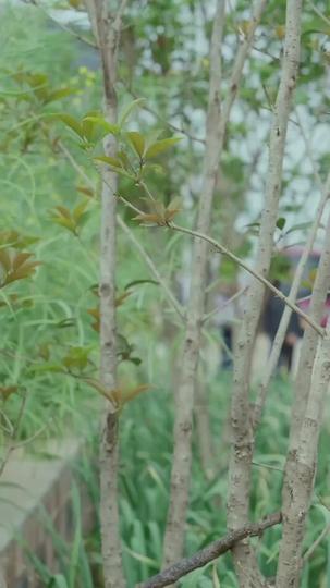 The Hero's Glorious Homecoming Episode 7