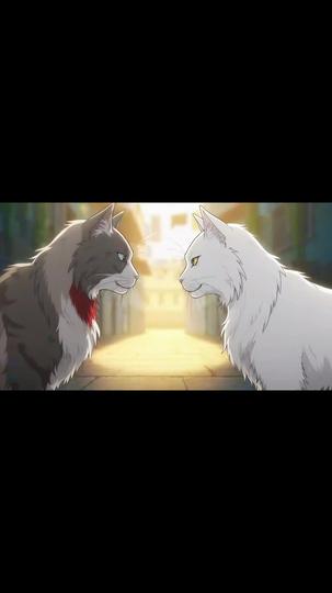 Kucing Sakti Pencari Cinta Episode 9