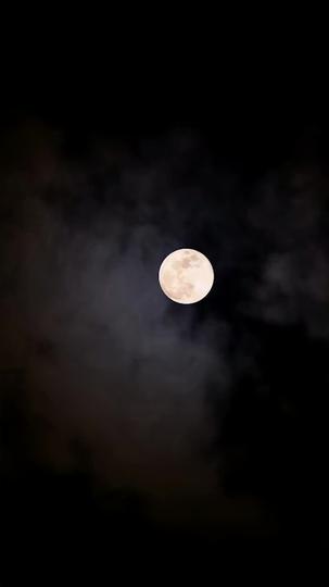 新婚夜,我和姐姐互換新郎 第10集