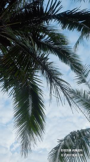 荒野女王 第5集