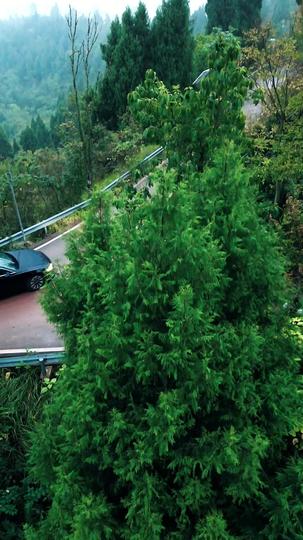 潜龙出山,有眼不识金镶玉 第1集