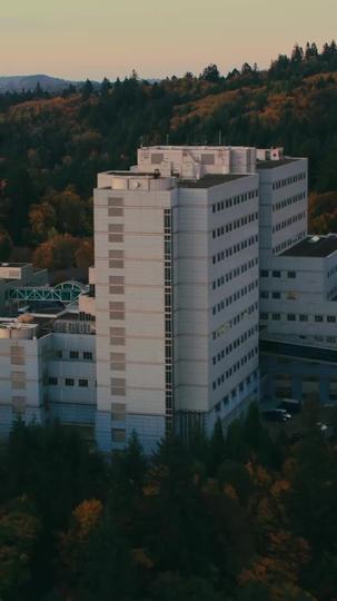 Fated to My Billionaire Call Boy Episode 1