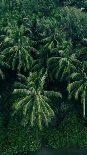 Lights Off, Survival On Episode 1