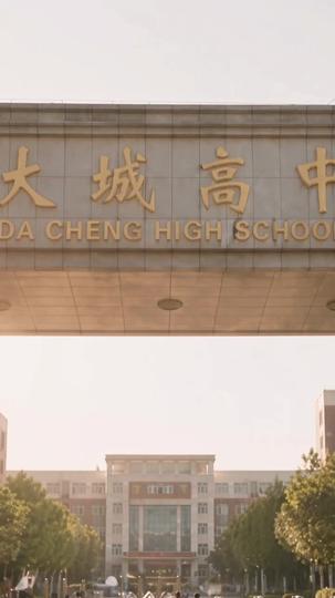 我有六个黄毛爹 第6集