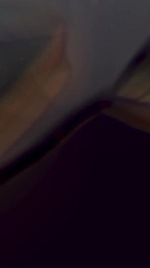 金牌外卖侠 第2集