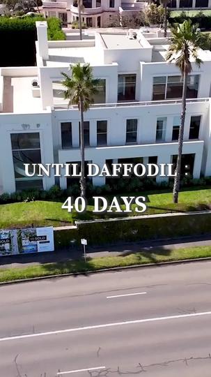 De Gorda a Rainha: A Vingança da Ex-Mulher 8Episódio