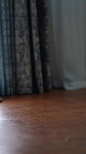 回家过年 第5集