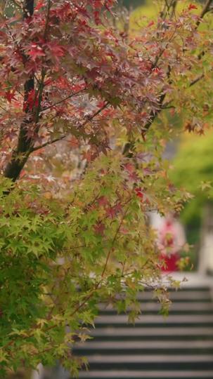 心聲念念響 第5集