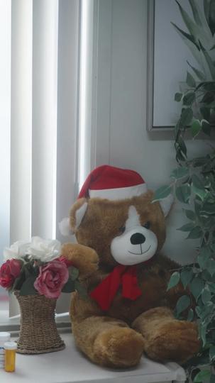 Cintaku Tak Jauh Di Mata Episode 1