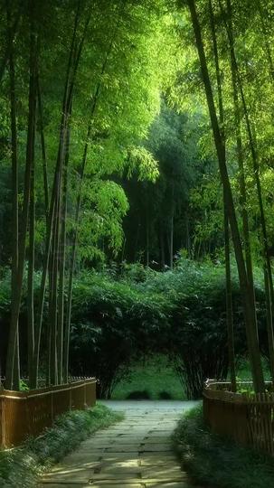 唯见青山是常怜 第5集