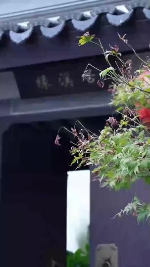 Supremacy Reclaimed: All Bow to My Will Episode 1