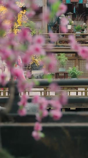 專業研究宮鬥，穿成皇后怎麼輸？ 第8集