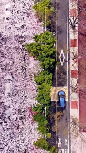 블러드체인 제1회