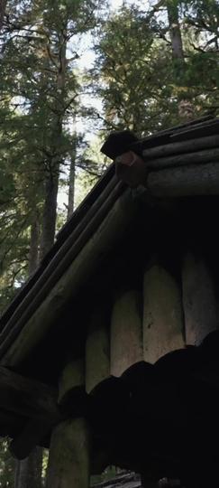 My Twin Sister Stole My Alpha Fiancé Episode 3