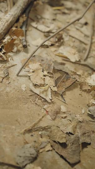 高考后，我一飞冲天 第9集