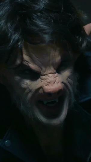 Blitzhochzeit mit meinem Werwolf Ehemann 2Folgen