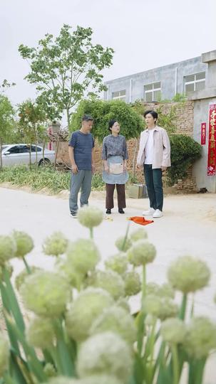 麦子熟了 第2集