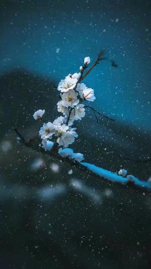 主母攻略：從治家到治夫 第10集