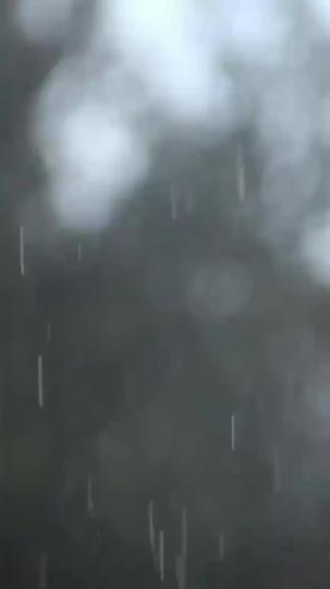 青山不聞故人語 第7集