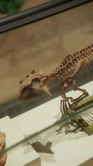 A Brief Journey, a Lasting Legacy Episode 9