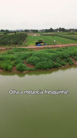 O Dia do Casamento Foi o Dia da Vingança 1Episódio