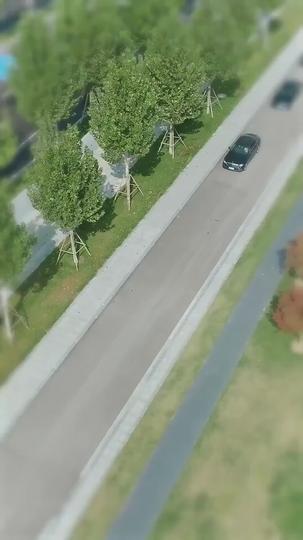 あの双子たち、社長に似てません？ 第 1 話