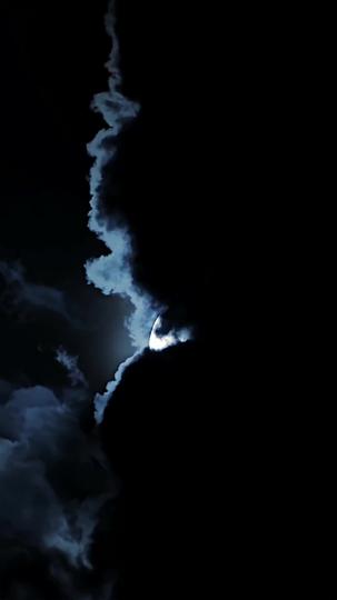 Die wahre Luna des Alpha Königs 1Folgen