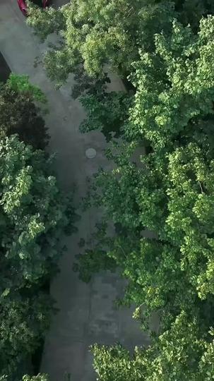 Ayahku Bukan Kurir Biasa Episode 1