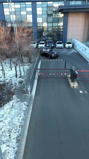 回村过年之龙凤呈祥 第9集