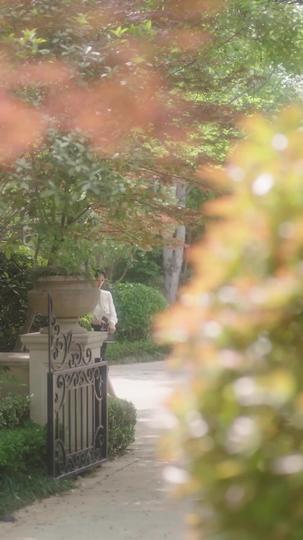 他惜我时我别离 第11集