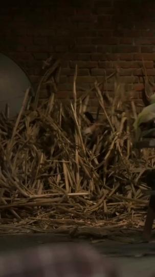 Her Final Testimony Episode 4